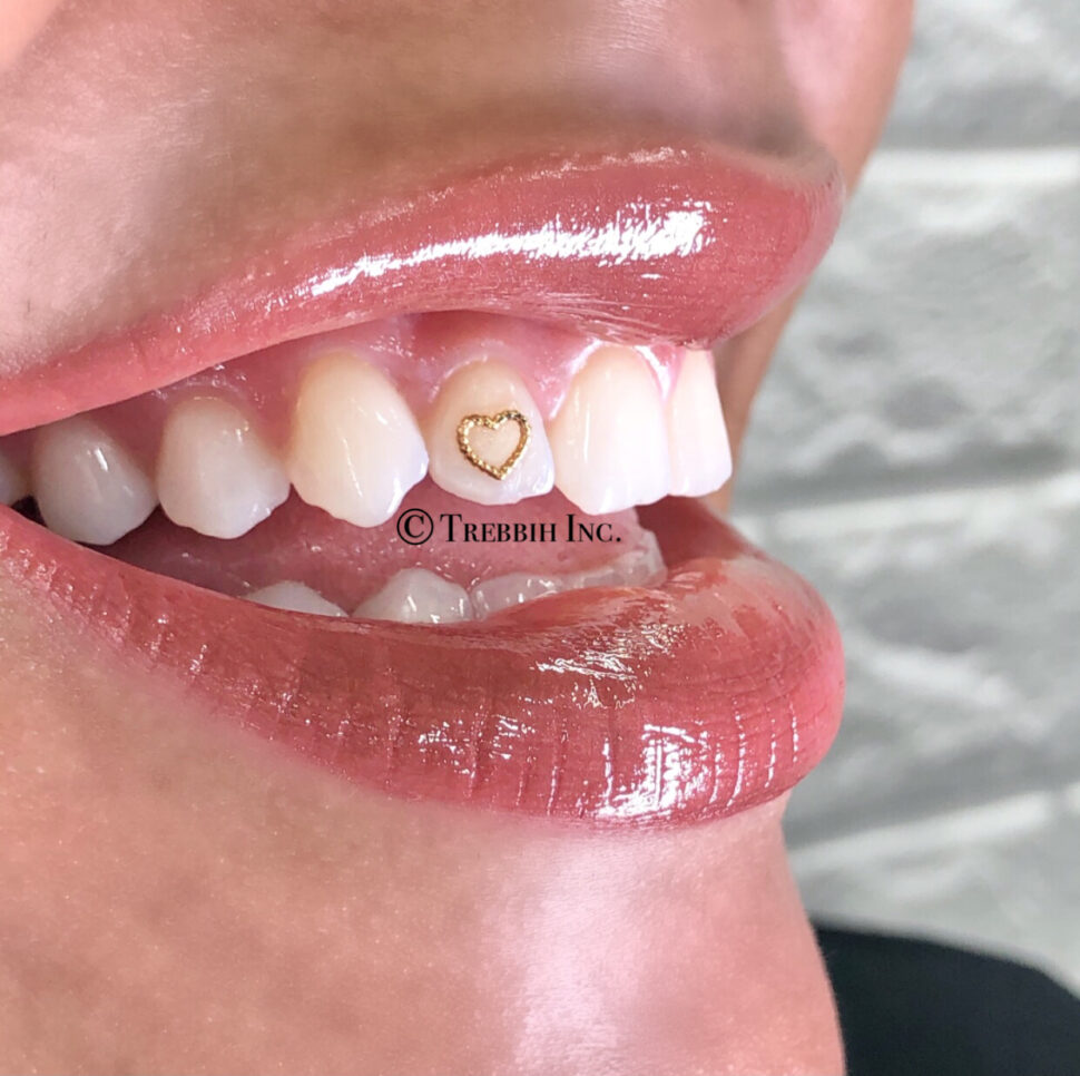 Ziekte bungeejumpen dichtheid Open Beaded Heart – Swarovski Tooth Crystals & Tooth Jewelry